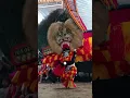 Download Lagu PEMBARONG REOG JUMBO #shorts #viralshorts #reog