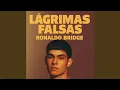 Lagu Lagrimas Falsas