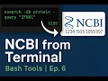 NCBI E-Utilities on Bash Access NCBI from Command Line Bioinformatics Ep 6