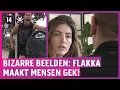 Download Lagu Zombie-drug Flakka rukt op in Brabant!