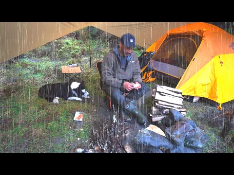 Download MP3 Tent CAMPING in RAIN with FIRE - Dog