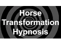 Horse Transformation Hypnosis