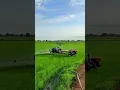Download Lagu kubotafarmercambodia #electronicmusic #housemusic #dj #music #farming #birds #beach #farmcat #MMO