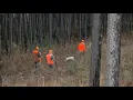 Bobwhite Quail Initiative - BQI In Georgia