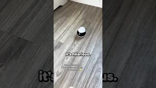 Husband Uses A Robot To Stay Home 