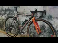 Borneotrack frame set road bike fixie gravel minivelo | (bike pedia)