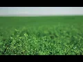 Preparing the Soil and Field for Alfalfa Hay