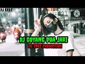 Download Lagu Dj Goyang Dua Jari Asik Asik Remix(Dj Gole)