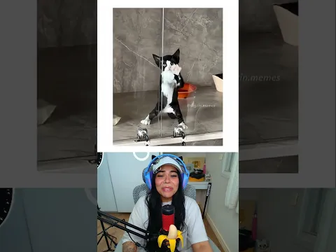 O Gato Farmando Aura #shorts