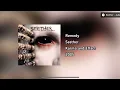 Seether-remedy (HQ Audio)