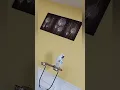 Download Lagu how she drinking the water #parrot #fyp #talking #birds #sisi #ببغاء #طيور #عرب #كوردستا