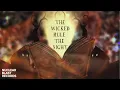 Download Lagu TOBIAS SAMMET'S AVANTASIA - The Wicked Rule The Night feat. Ralf Scheepers (OFFICIAL LYRIC VIDEO)