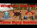 Ark Survival Ascended where to find a dung beetle Ark how to tame a dung beetle ASA Dung Beetle