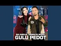 Download Lagu GULU PEDOT