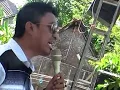 Download Lagu TARIK WIIR - KETAGIHAN NANGGAP CAK NARTO