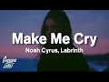 Noah Cyrus - Make Me Cry tiktok I never needed you like I do right now