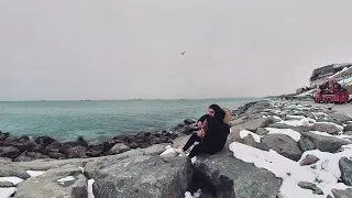                                                       دندنها