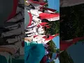 Download Lagu Karnaval Haul KH. HASBULLAH Kembang-Dukuhseti-Pati-Jateng, 2019