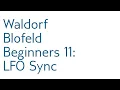tutorial Blofeld Beginners 11 LFO Synchronization