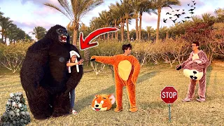 لما الغوريلا تاخد اخوك الصغير وتروح انت وابوك تيجبوه     السلسيلي دندنها