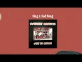 Sing A Sad Song - Country Gazette