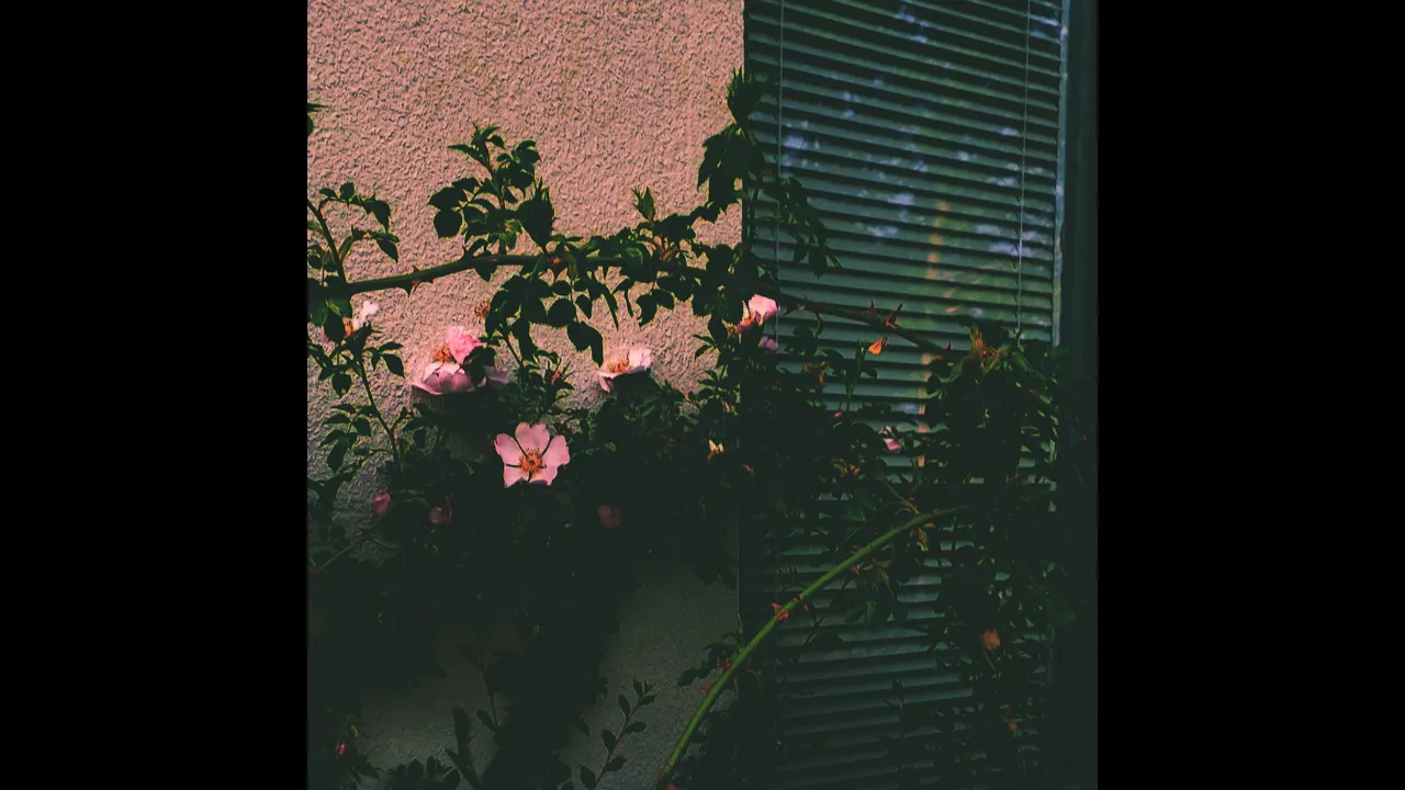 Lovesick