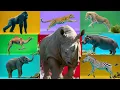 Lagu Safari Animal Sounds Song | Nursery Rhyme for Kids - Learn Animal Names and Sounds