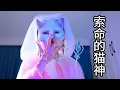 Download Lagu 可怜七宝病重，邪恶的猫神却要拿走小圆子的命！两只猫咪究竟该怎么办【七宝小圆子】