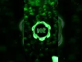 Download Lagu 🎧𝐂𝐔𝐀𝐍𝐃𝐎 𝐒𝐄 𝐓𝐄 𝐌𝐎𝐉𝐀 𝐋𝐀 𝐓𝐀𝐑𝐄𝐀 (𝐉𝐀𝐏𝐀𝐍𝐄𝐒𝐄 𝐕𝐄𝐑𝐒𝐈𝐎́𝐍) - 𝐒𝐔𝐏𝐄𝐑 𝐒𝐋𝐎𝐖𝐄𝐃