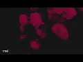 Khatfoony - Amr Diab (feat. Jana Diab) (Lyrics)