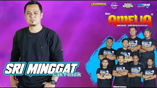 Download SRI MINGGAT CAK FENDIK MP3