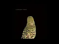 Andrew Bird  - Need Someone