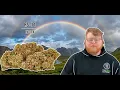 RS-11 Strain Review Like a Tropical Fuel Spill