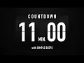 11 Minute Countdown Timer Flip Clock with Simple Beeps