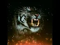 Download Lagu (story whatsapp)macan