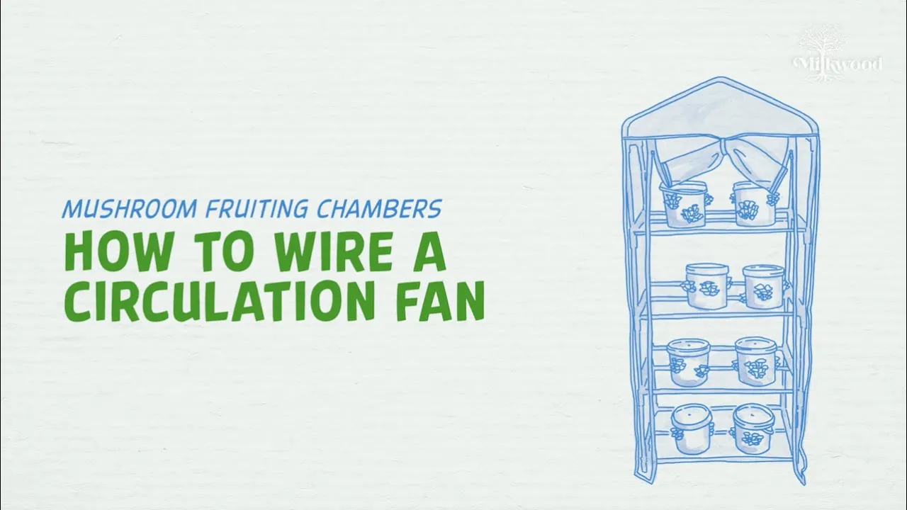 Wiring a Circulation Fan for your Mushroom Fruiting Chamber | Milkwood