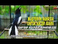 Download Lagu MASTERAN KACER DAN RAHASIA MASTERAN UNTUK KACER JUARA || SIAP SIAP JADI PUSAT PERHATIAN JURI..!!!