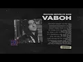 Vaboh - mistakes before i'm gone