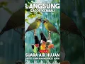 Download Lagu Langsung Gacor Lagi Terapi Air Hujan Untuk Burung Macet