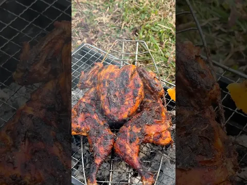 Smoky, spicy & super juicy Grilled chicken cooked in nature Camping! #asmr #outdoorcooking
