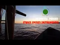 Download Lagu INDONESIA PUSAKA - ETHNIC ENERGY INSTRUMENTAL | NO COPYRIGHT