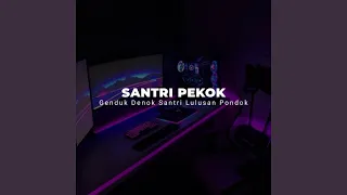 Download DJ GENDUK DENOK SANTRI LULUSAN PONDOK (SANTRI PEKOK) MP3