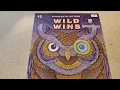 Wild Wins - Minnesota Lottery 2