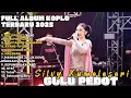 Download Lagu GULU PEDOT - SILVY KUMALASARI FULL ALBUM TERBARU DANGDUT KOPLO TERBARU 2025 