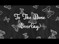 Download Lagu Take Me Home, I'm Fallin' ( To The Bone ) | Overlay