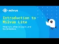 End to End Tutorial on Milvus Lite