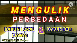 mengulik perbedaan pleci dakun lokal jawa malang dan dakun bali