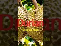 Lagu Is Durian het GEZONDSTE fruit dat je hebt gemist?
