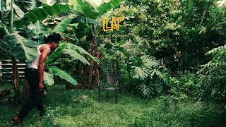 D'Yani - Blooming (Visualiser)
