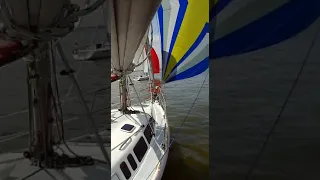 GBCA Conundrum Regatta